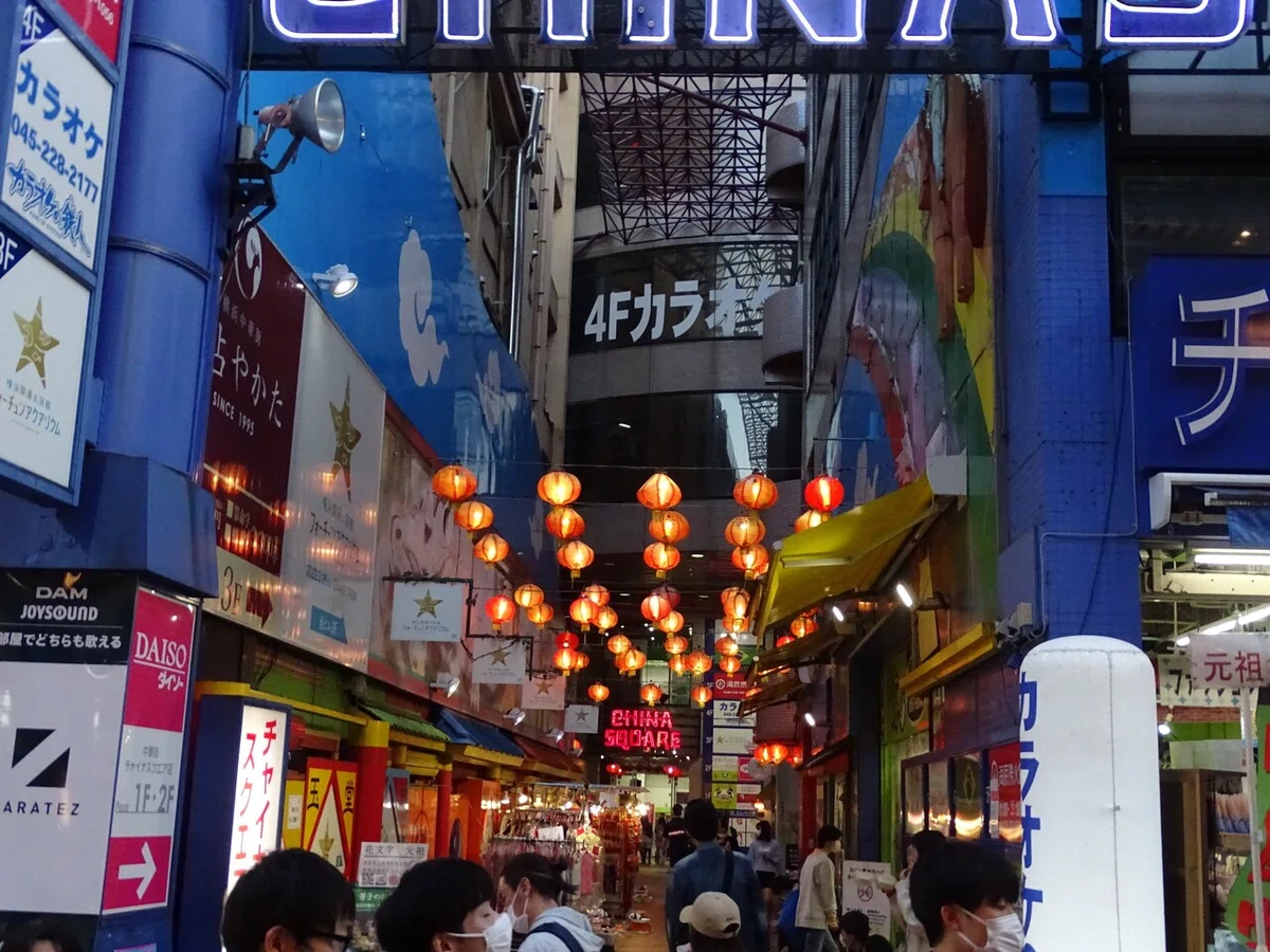 画像8