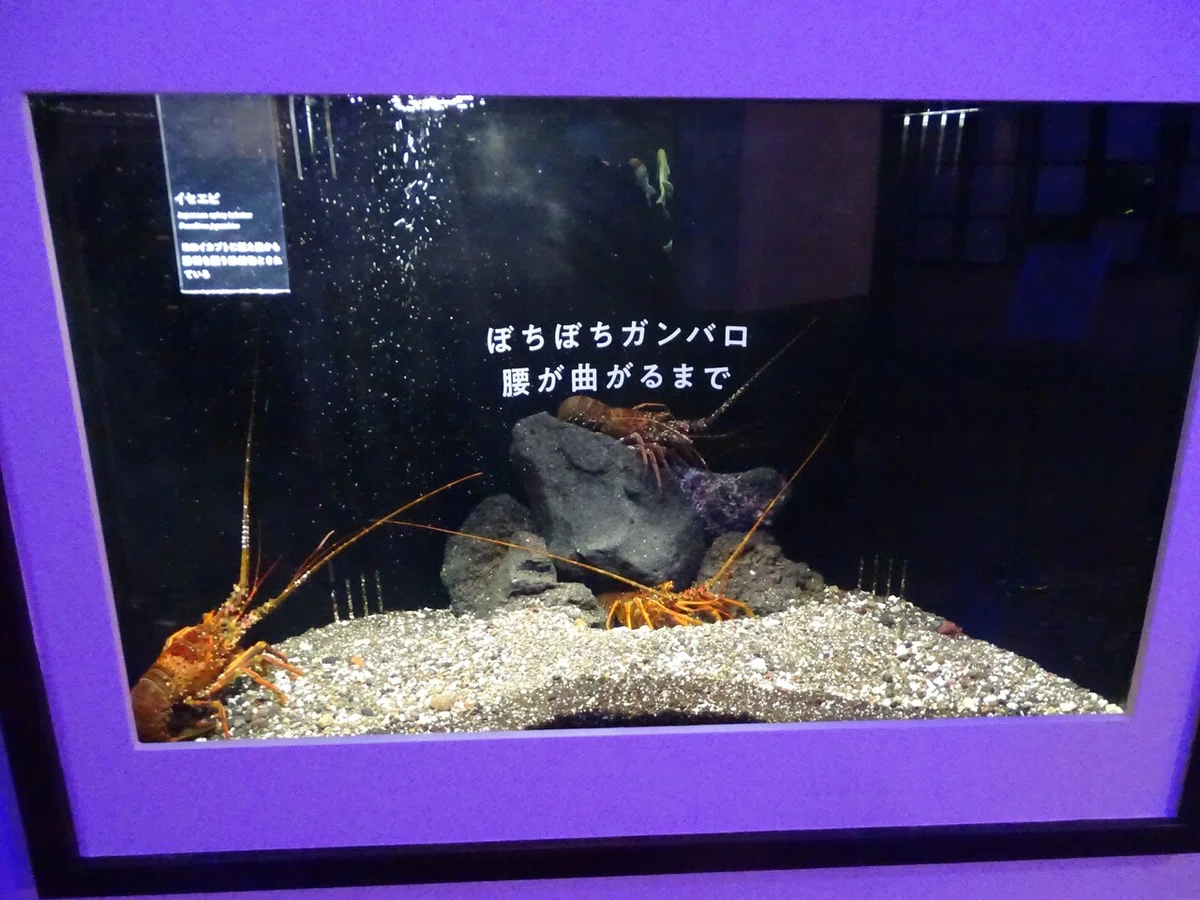 画像25