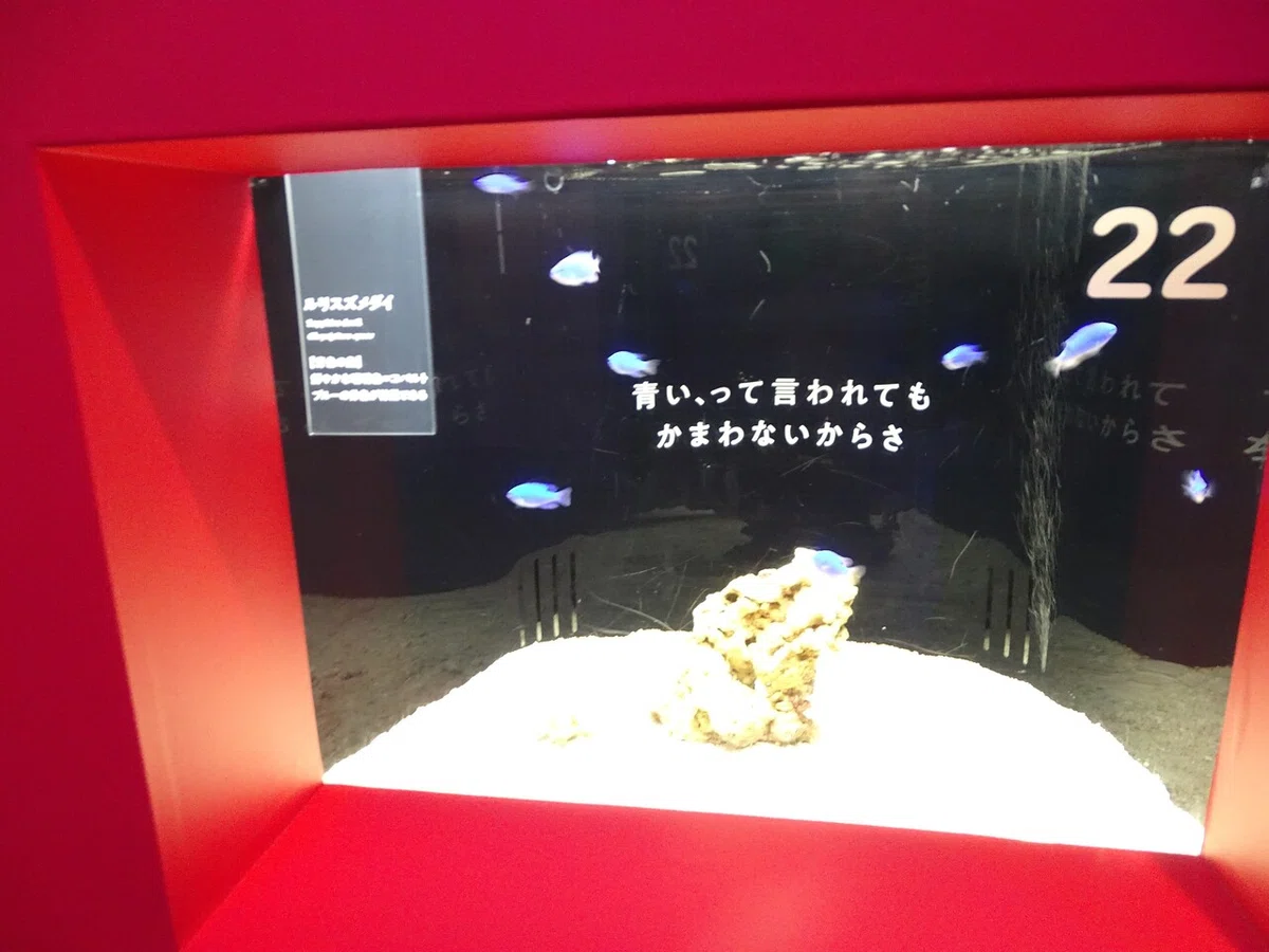 画像57