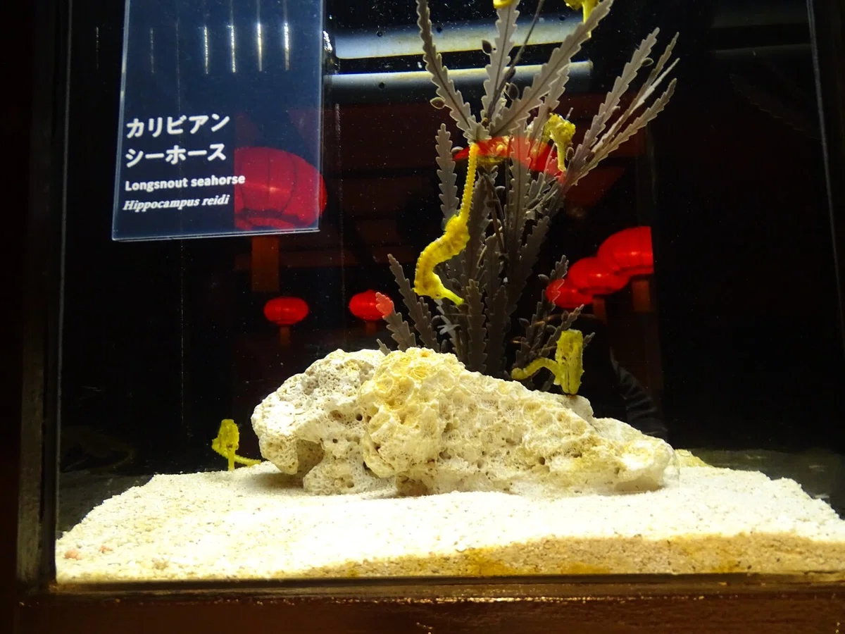 画像135