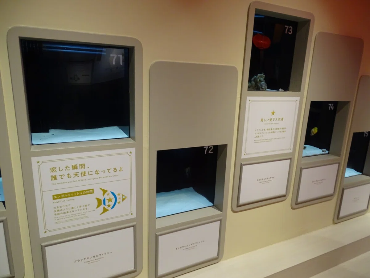 画像145