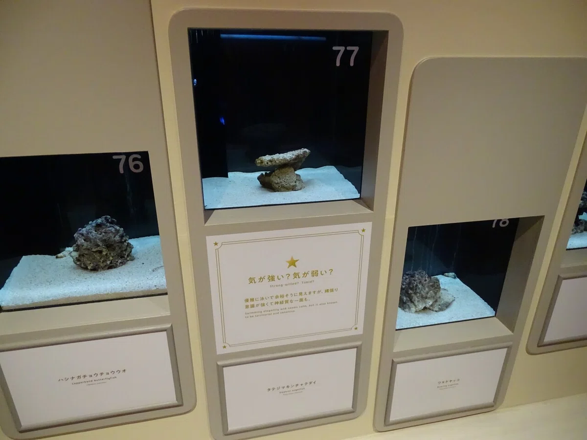 画像150