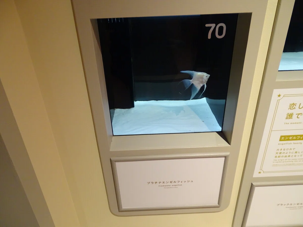 画像144