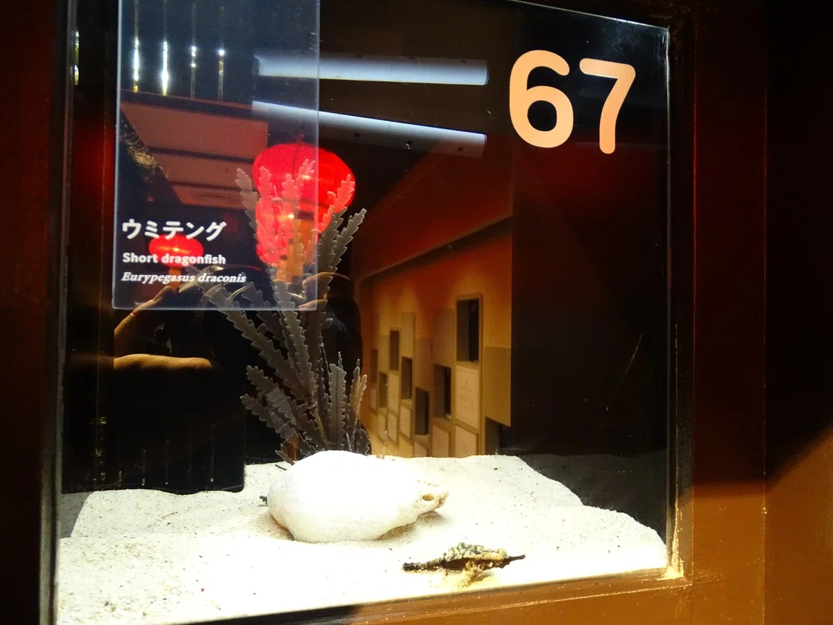 画像139