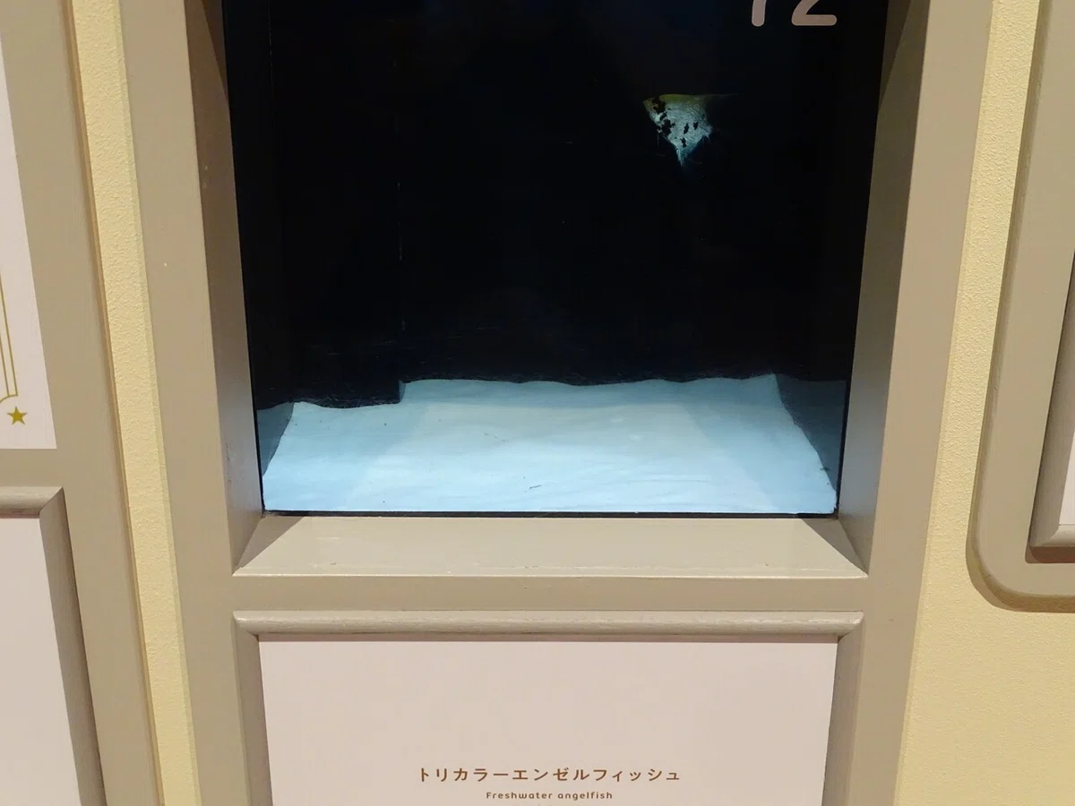 画像147