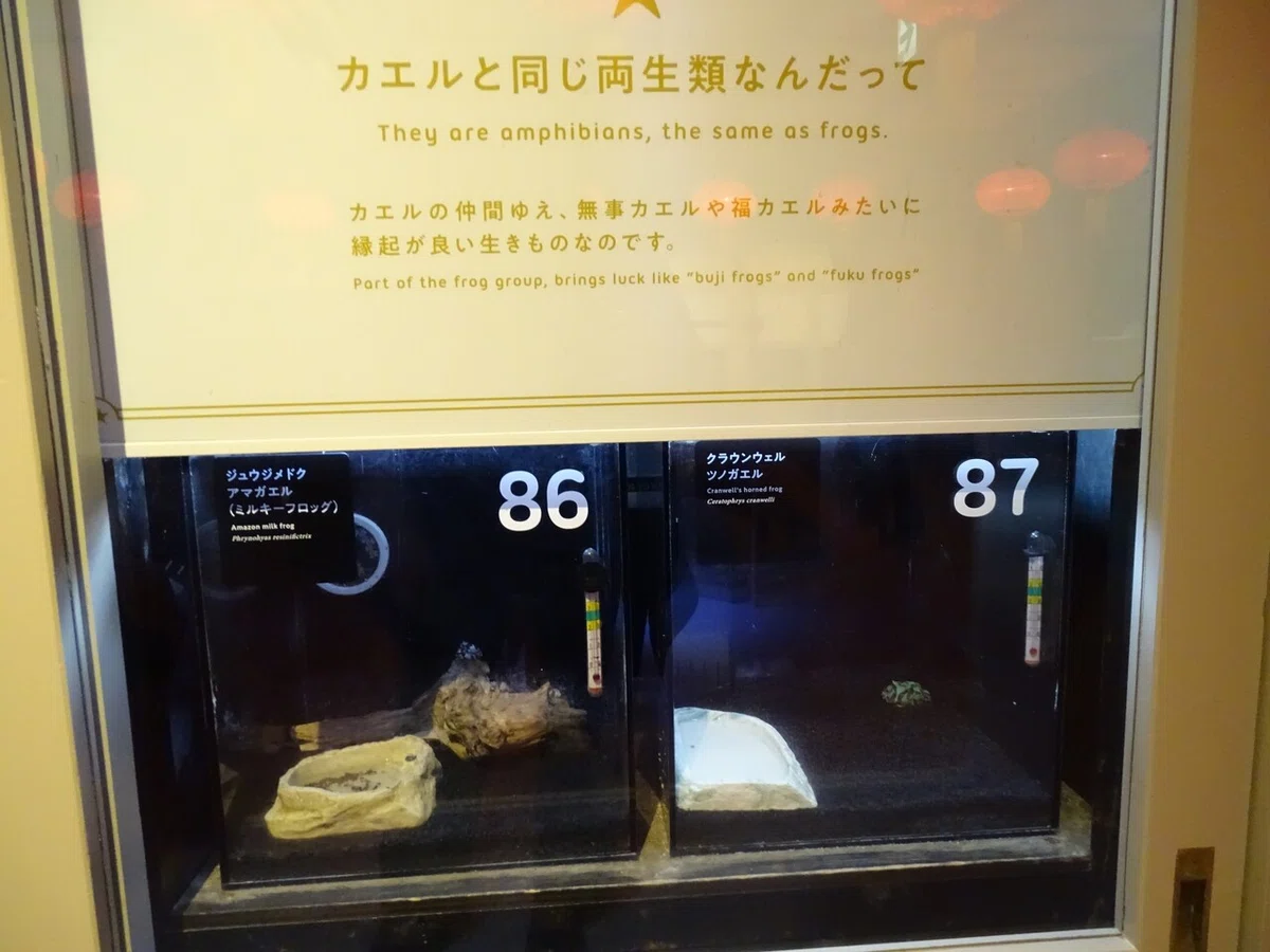画像162