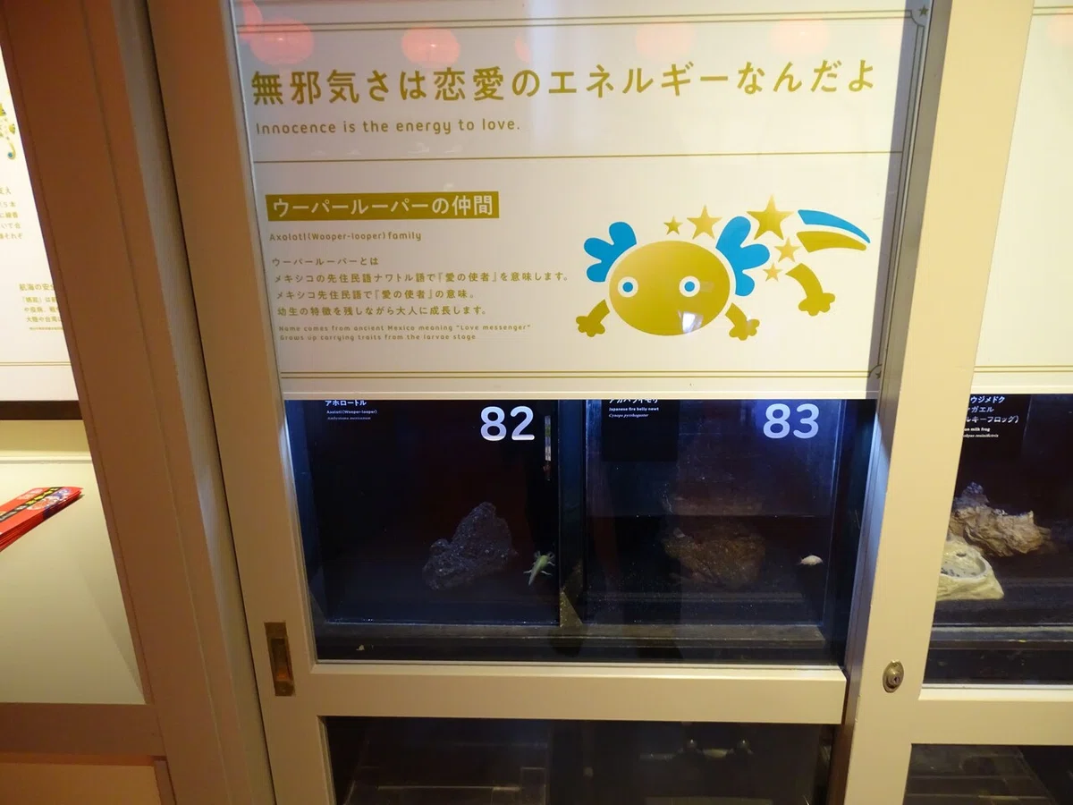 画像160