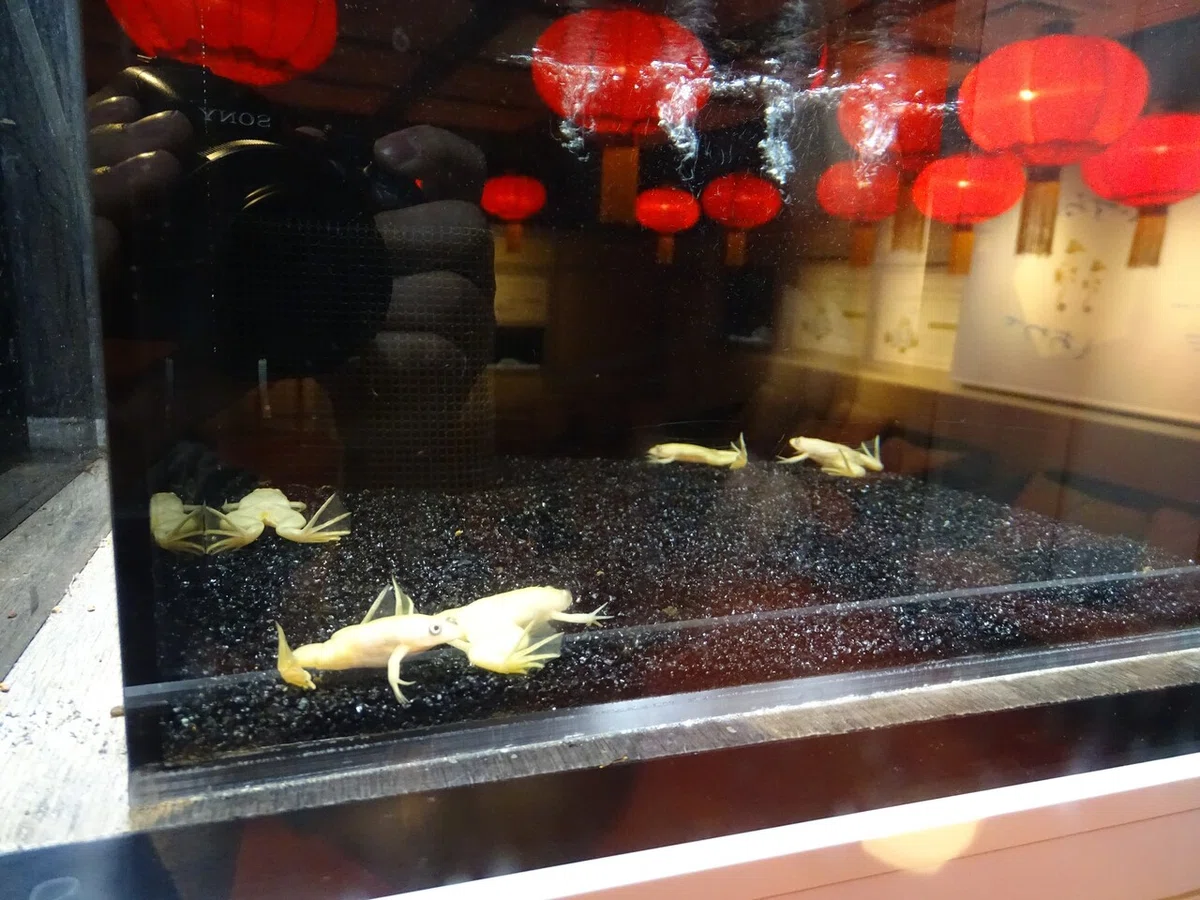 画像159