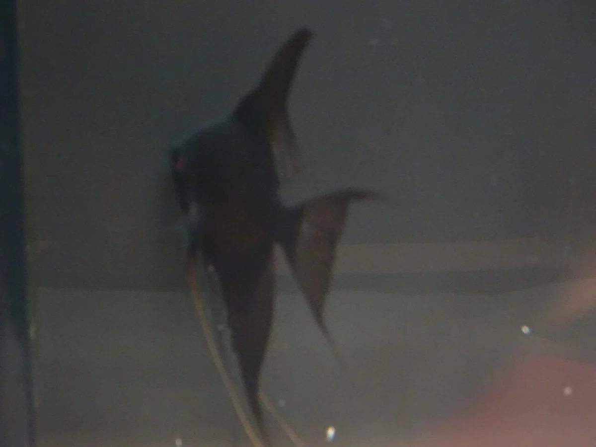 画像146