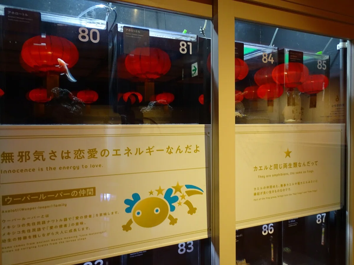 画像154
