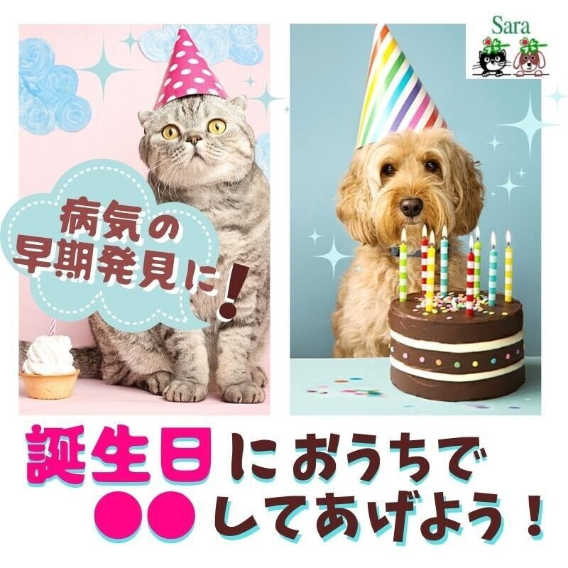 042022_SHAC_Himalaya_thumbnail_誕生日にしてあげたほうがいいこと