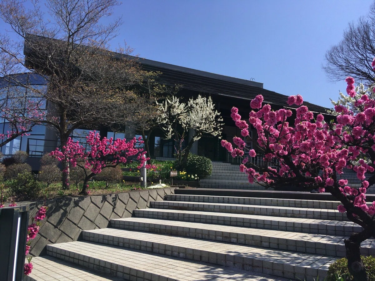 画像5