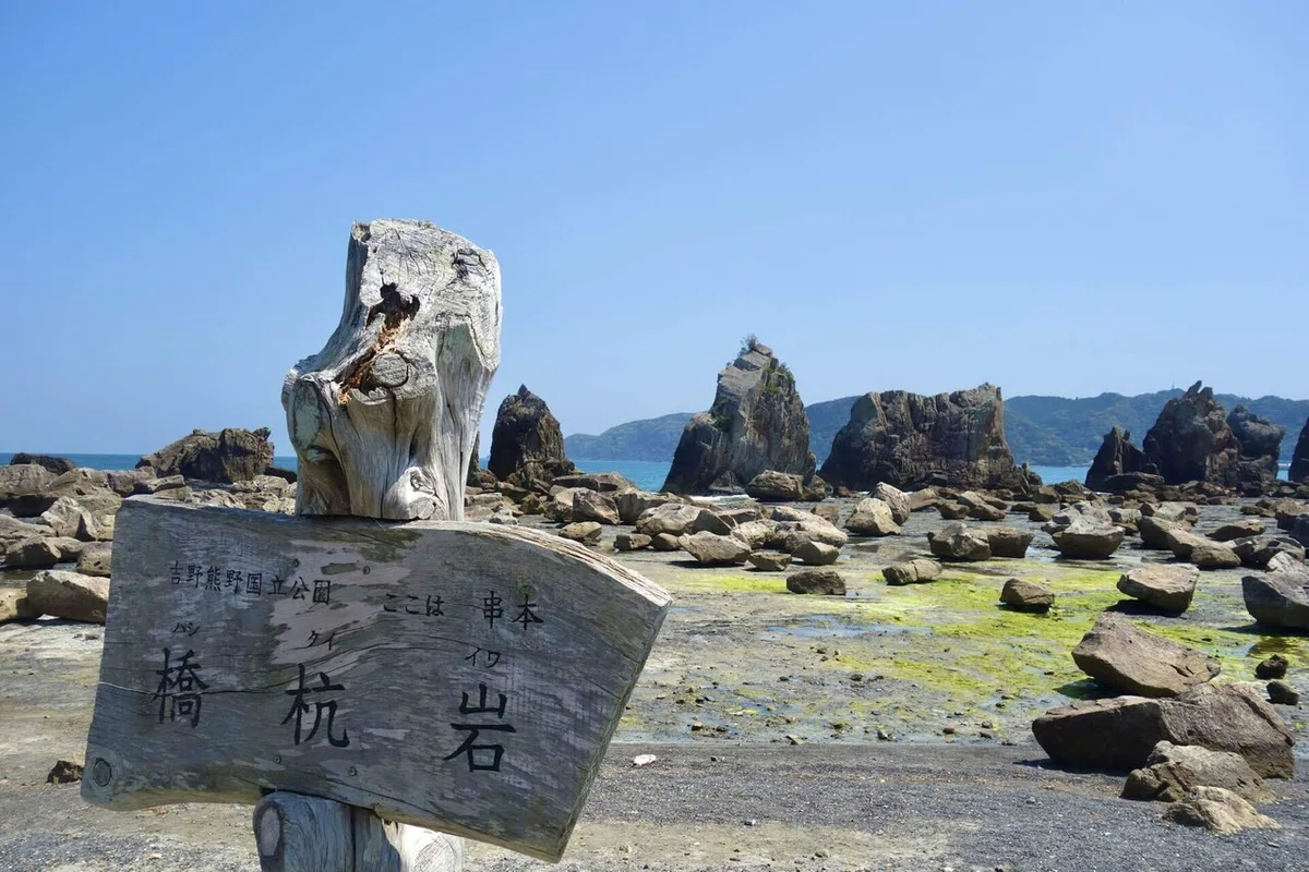 画像8