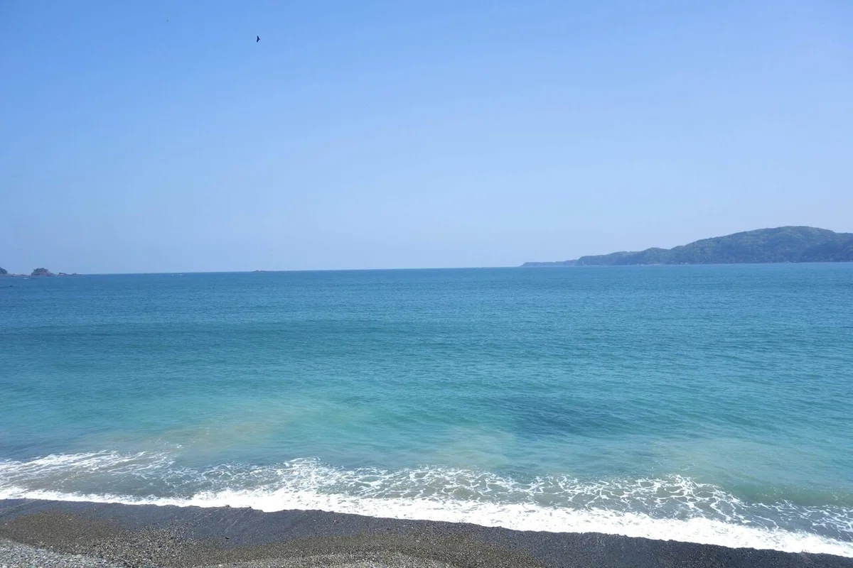 画像18