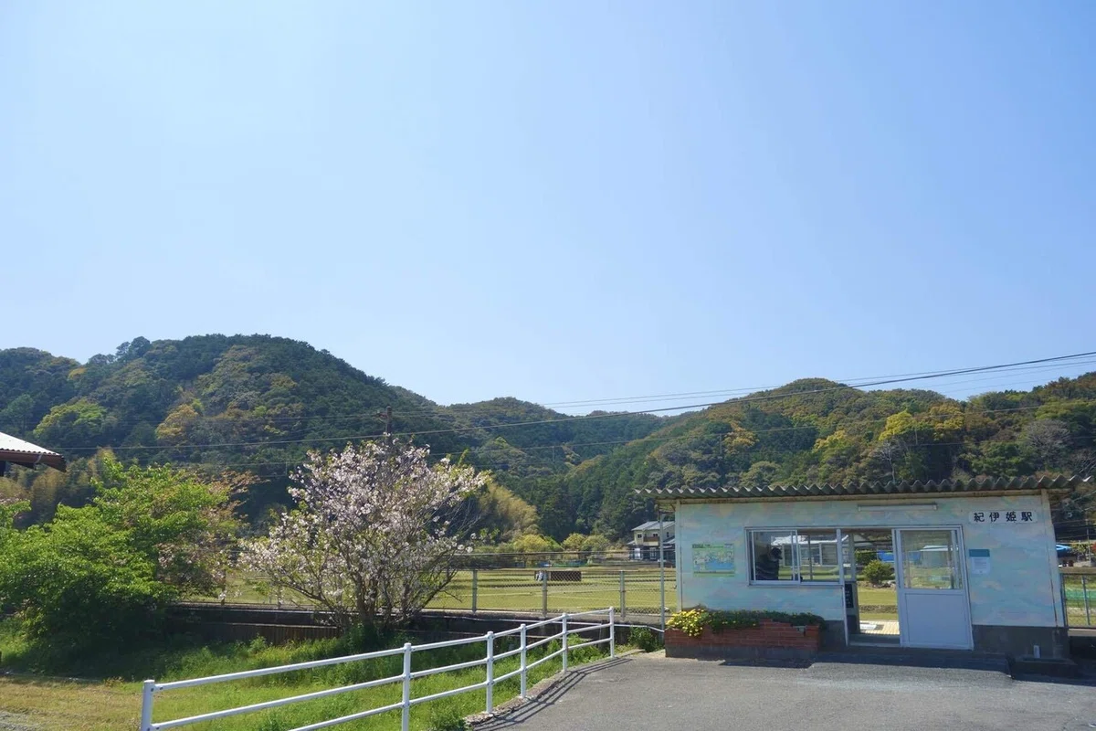 画像19