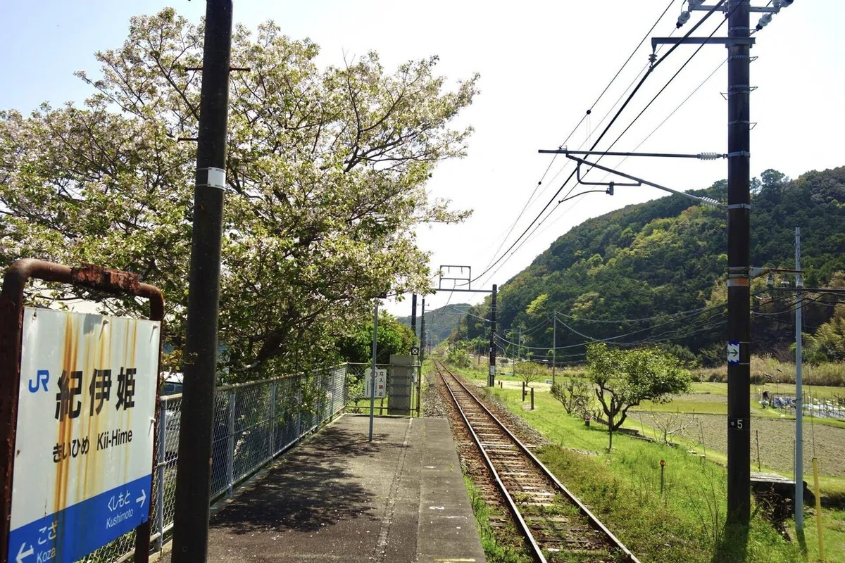 画像22