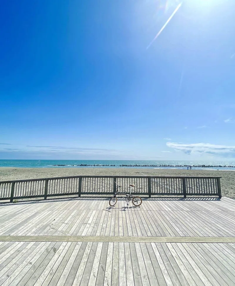 Happy Beach〜湘南の原風景が残る平塚海岸｜ブ …