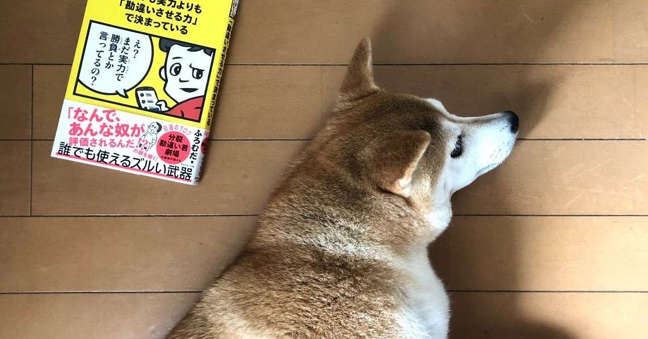 見出し画像