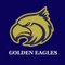 上智大学体育会アメリカンフットボール部GoldenEagles