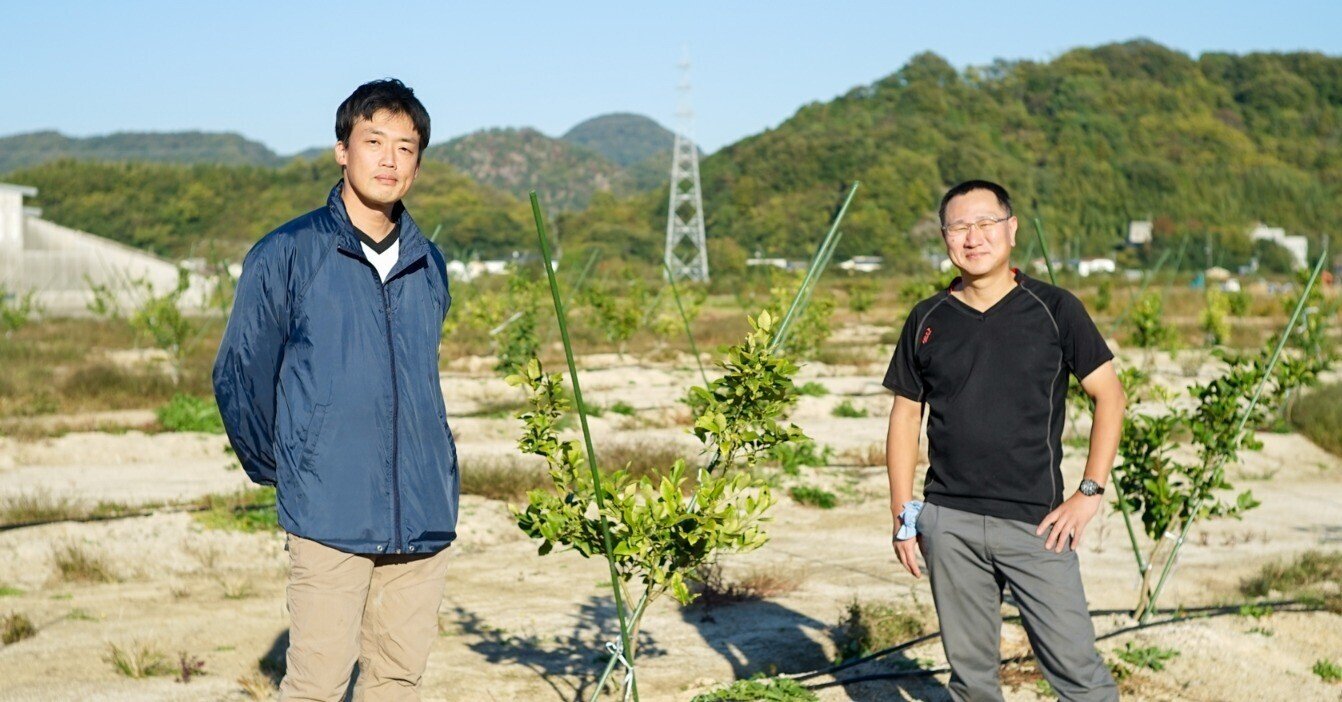 レモン農家の先輩たちに助けられ いざ 初植えから初収穫へ 自社レモン農園ができるまで 後編 ポッカサッポロ レモン農家の先輩たちに助けられ いざ 初植えから初収穫へ 自社レモン農園ができるまで 後編 ポッカサッポロ