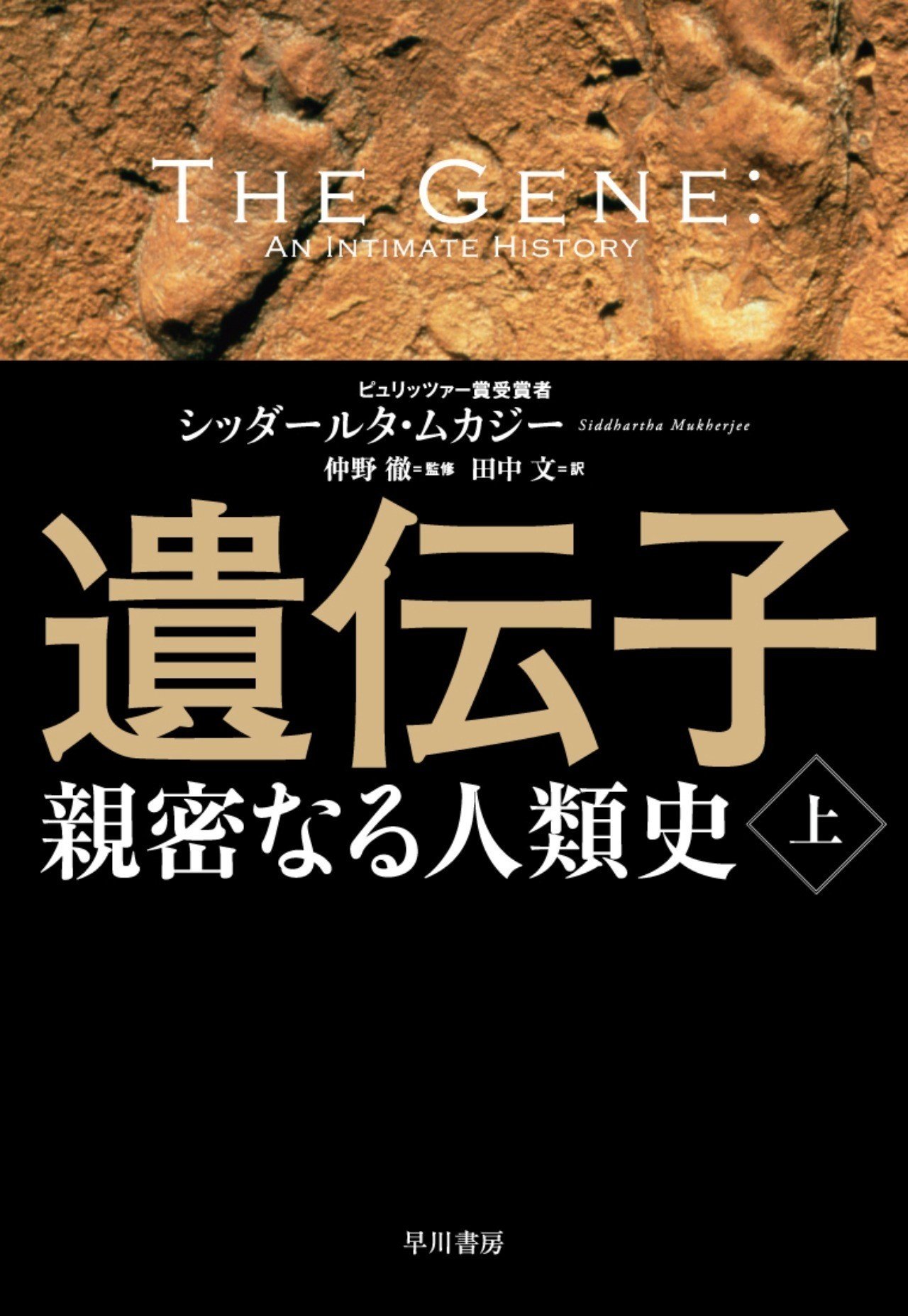 ドイツ作文教育受容史の研究 シュミ-ダ-説の摂取と活用/渓水社（広島）/前田真証（単行本） ドイツ作文教育受容史の研究 シュミ-ダ-説の摂取と活用/渓水社