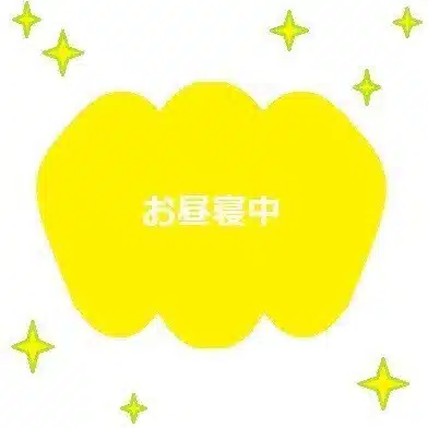 カボチャ金貨