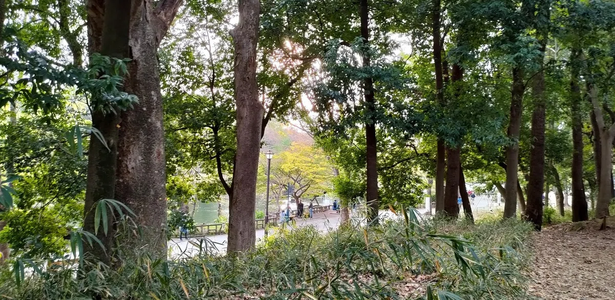 画像8