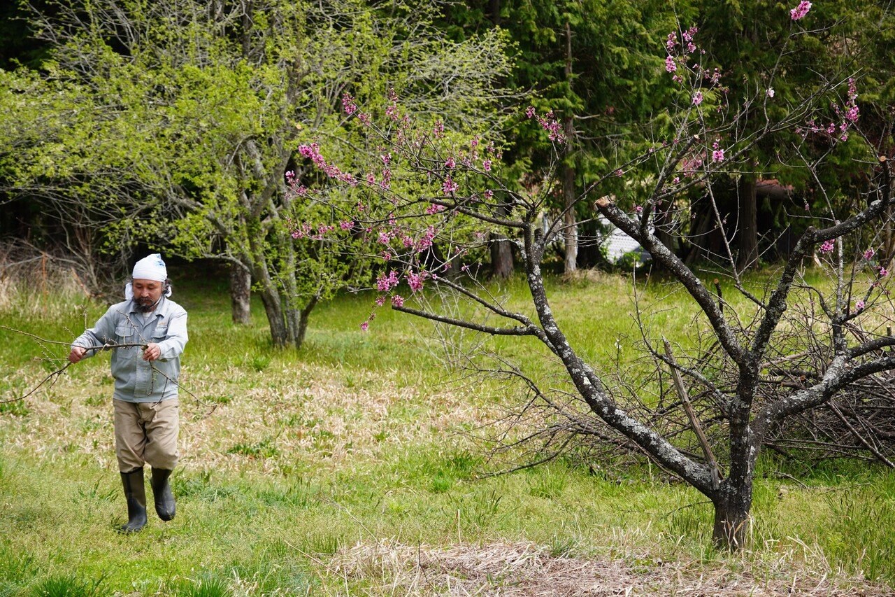 木の椅子JUN 藤本順正 Wood chair Junsei Fujimoto ｜ 木工家具 Wood