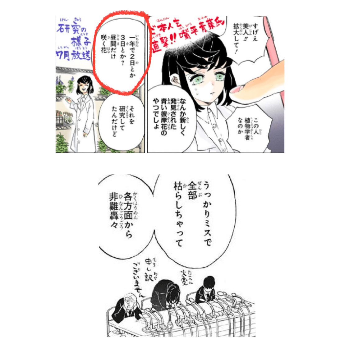 鬼滅の刃 青い彼岸花と縁壱さん 那田蜘蛛山は三輪山 鬼滅のリッペちゃん Note