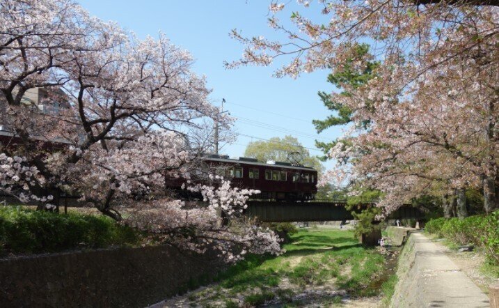 川と甲陽