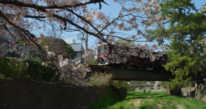 桜メインの甲陽線