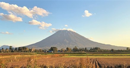 山根あゆみ」の人気タグ記事一覧｜note ――つくる、つながる、と