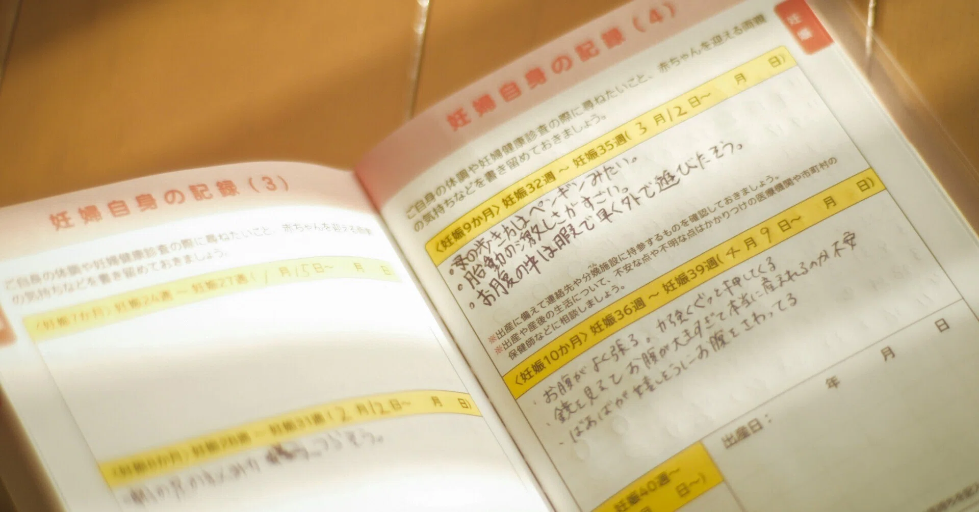 テンヨー】サプライズ手帳 -ビジネスにサプライズを 