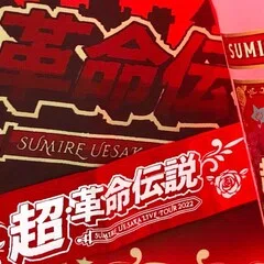 コラム】上坂すみれさんは「同志の希望を汲んだ怪しいグッズを作る」事