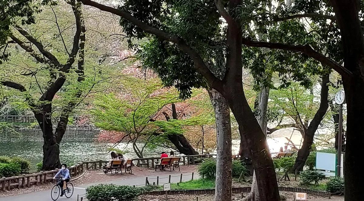 画像9
