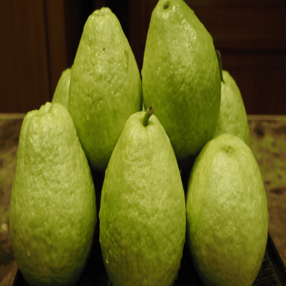 果物の宝庫・台湾＞①グアバ｜台湾生活・旅行お役立ち情報