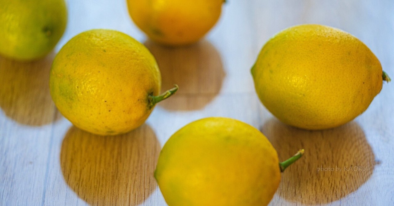 世界の 象徴としての匂いと色彩 〜 「lemon」｜hisataroh358 米津玄師 犬服・アクセサリー