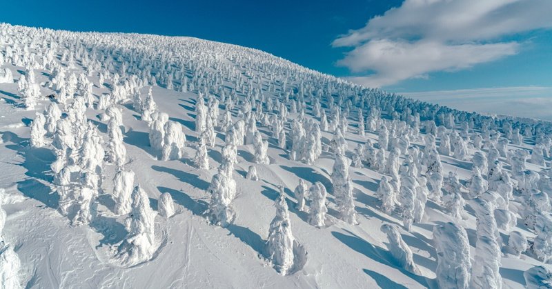 晴天の蔵王樹氷高原を満喫、日帰り登山レポがYAMAPマガジンで公開されました。