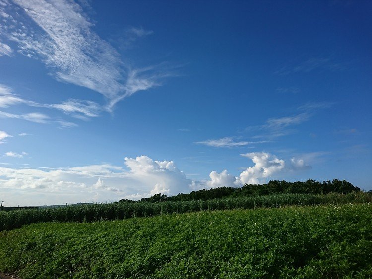 屋敷原から山川へ抜けるローカル峠を越えたところで見えた里山の風景。
圃場整備が進み過ぎて、この界隈ではもう、このあたりにしかこういう景色は残っていない。