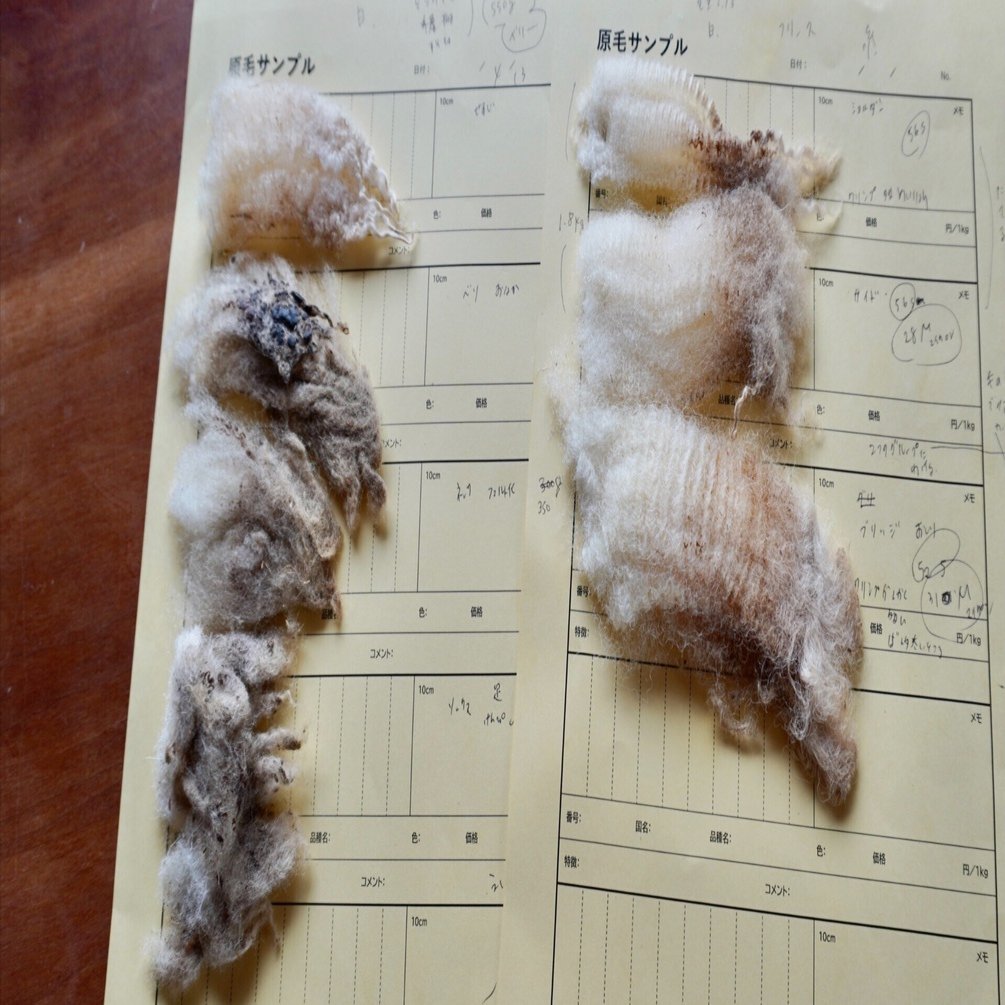 Vol.2 滋賀 羊毛を選り分ける｜未未 MIBI