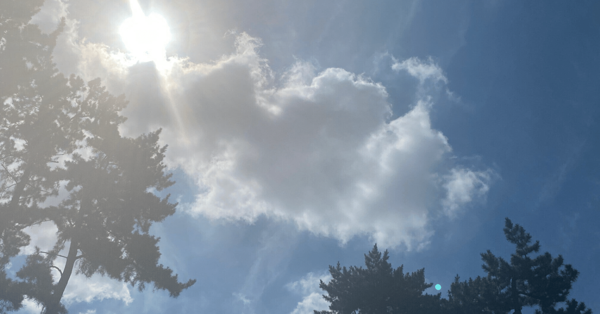 いつまでも一緒にはいられないから かただ しんのすけ Note