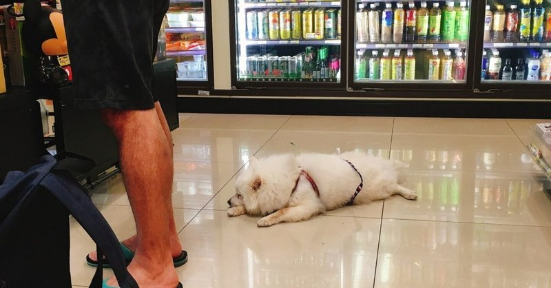 わんこパラダイス なぜこの国のわんこは温厚 Kinoe Note