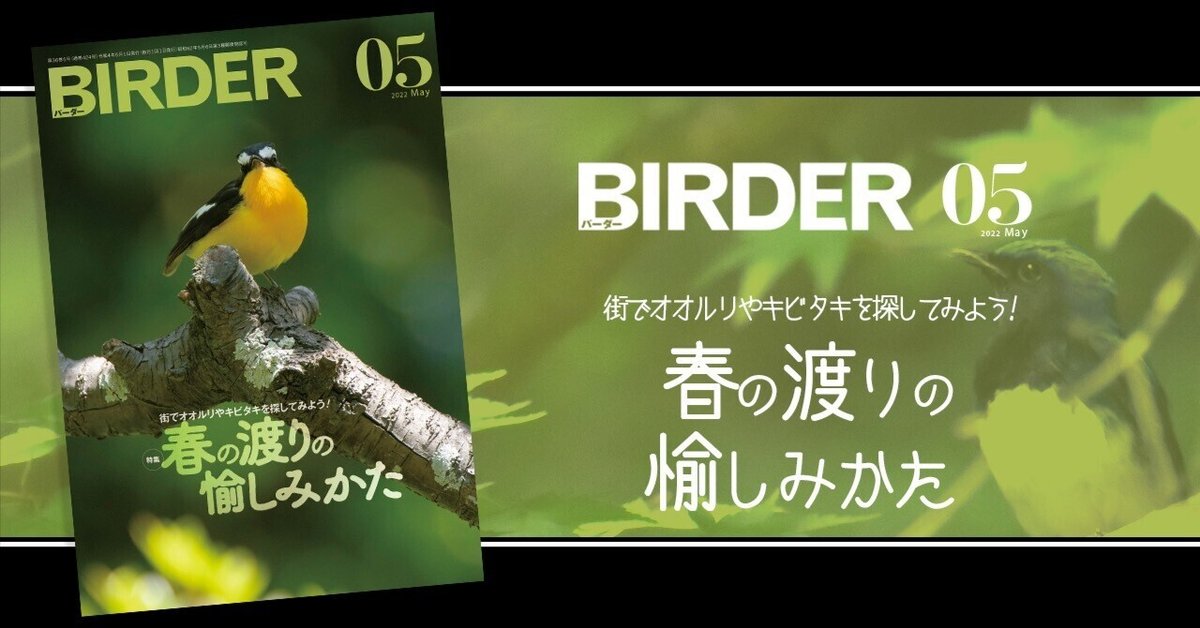 愛鳥家専門誌 ALL BIRDS オールバード　77冊まとめ売り 愛鳥家専門誌 ALL BIRDS オールバード 77冊まとめ売り 愛鳥家専門誌