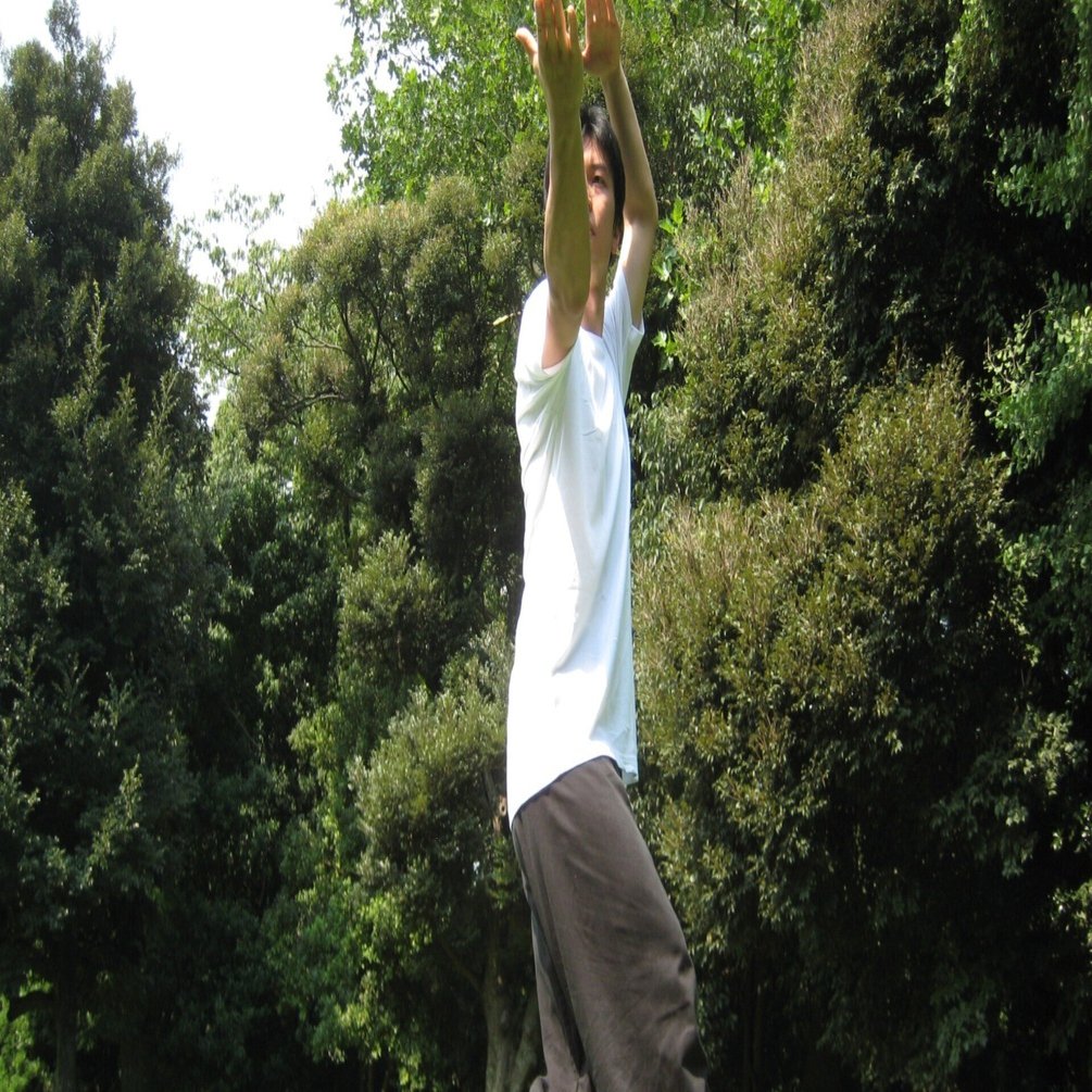 八卦掌の套路（型）「八卦連環掌」について！！八卦連環掌と「易」の