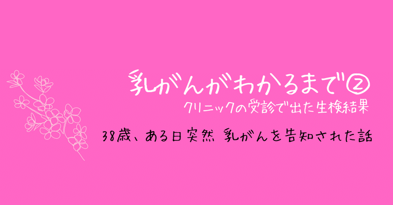 乳がんがわかるまで②クリニックの受診で出た生検結果