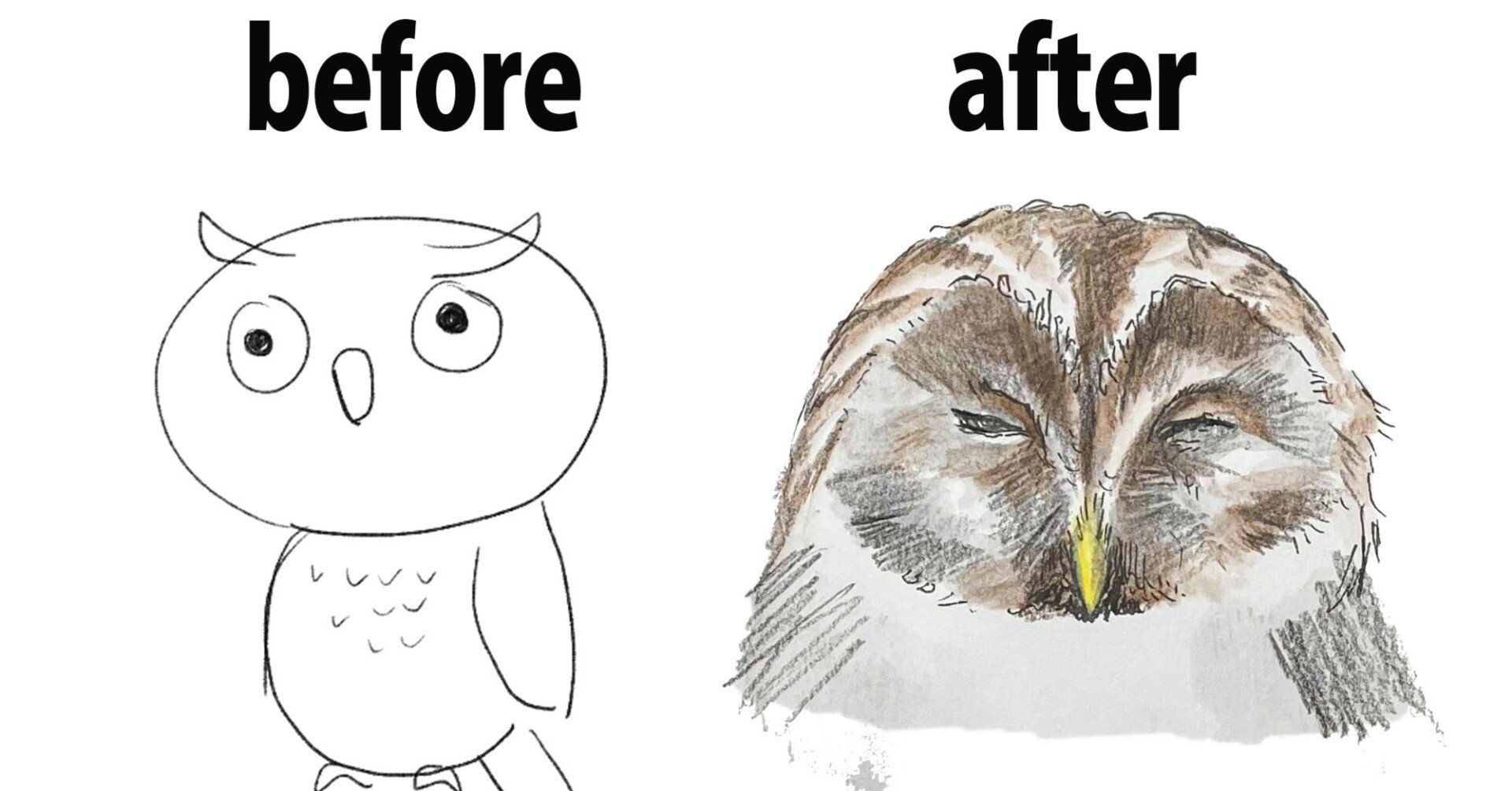 フクロウを描くまでの裏側｜くますけ｜自然ガイド・クリエイター