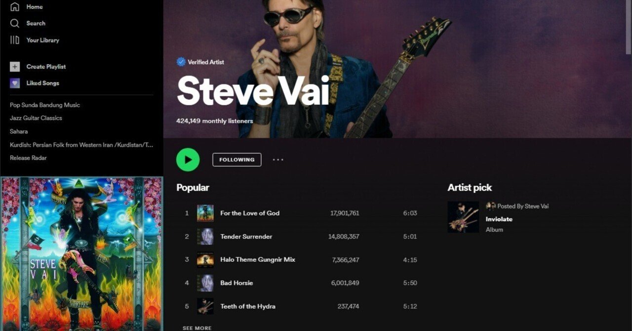 ザ・ビック・アーティスト スティーブ・ヴァイ（デイヴィッド