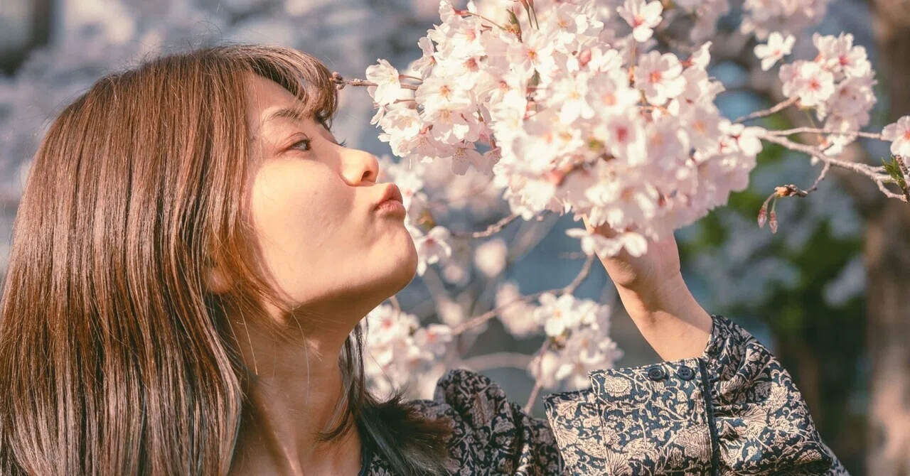 わたしは弟と業務連絡しかしない。でも、それでいい。｜いしかわゆき 