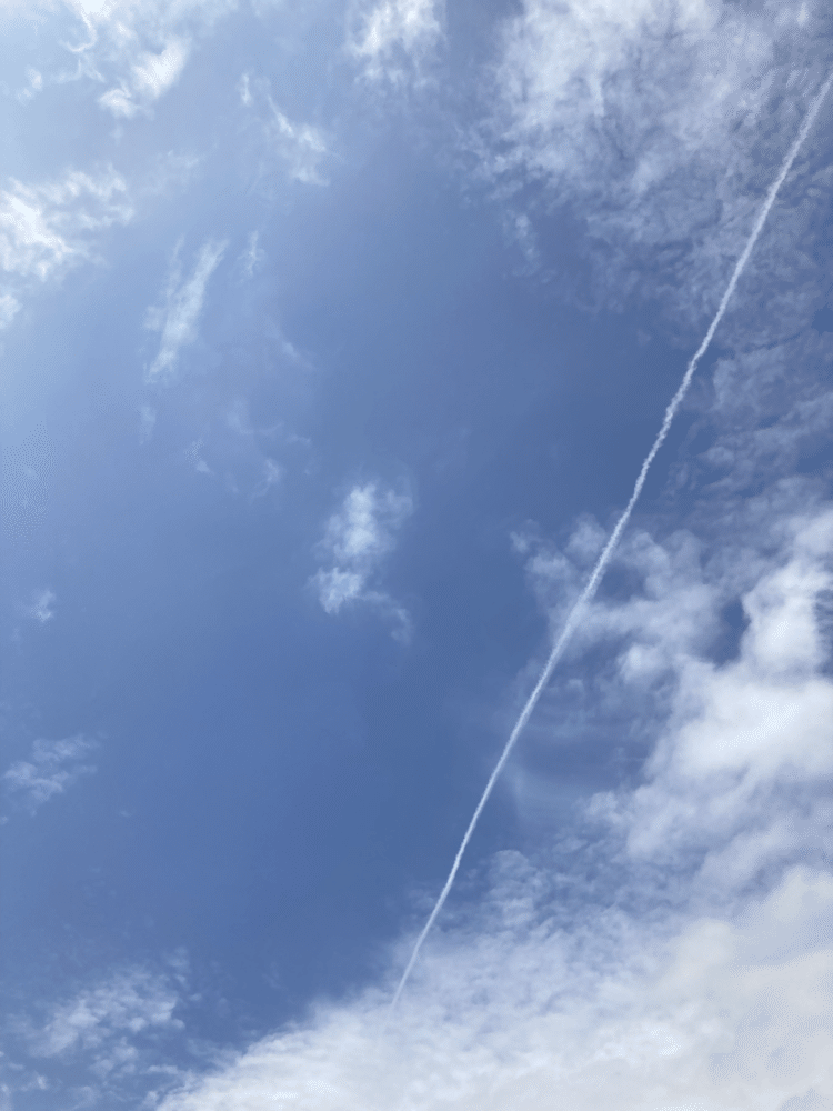 これは太陽の近くですね。明るいところ太陽なはず。太陽はまた今度。ハロではなかったです。今日飛行機雲が撮れてます。#飛行機雲のある青空