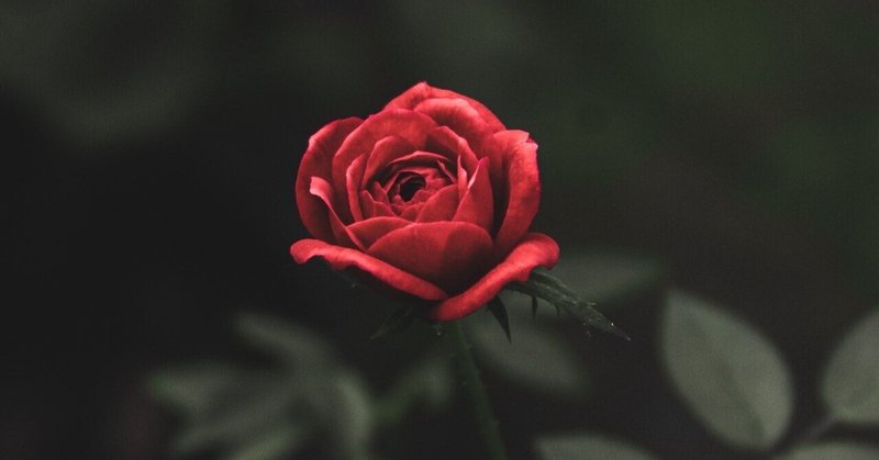 さとりをひらくと人生はシンプルで楽になる の新着タグ記事一覧 Note つくる つながる とどける